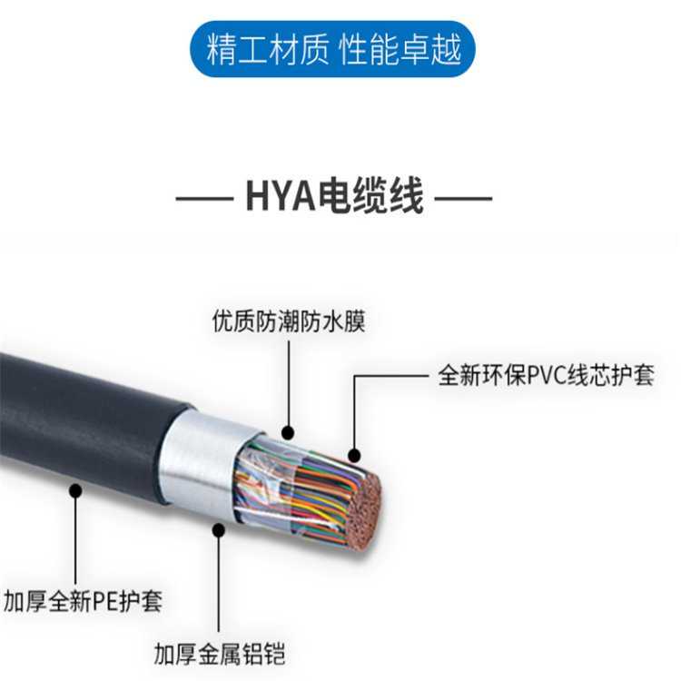 HYAT53-50*2*0.5mm-铠装充油线