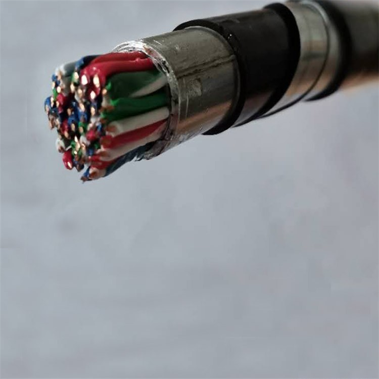 HYV大对数通讯线缆 野外用橡套软线缆YZW国标用线