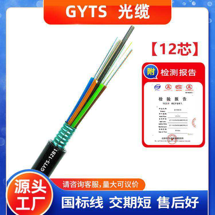室外架空通讯光缆 防潮通信GYTS-12B1层绞式铠装光缆线