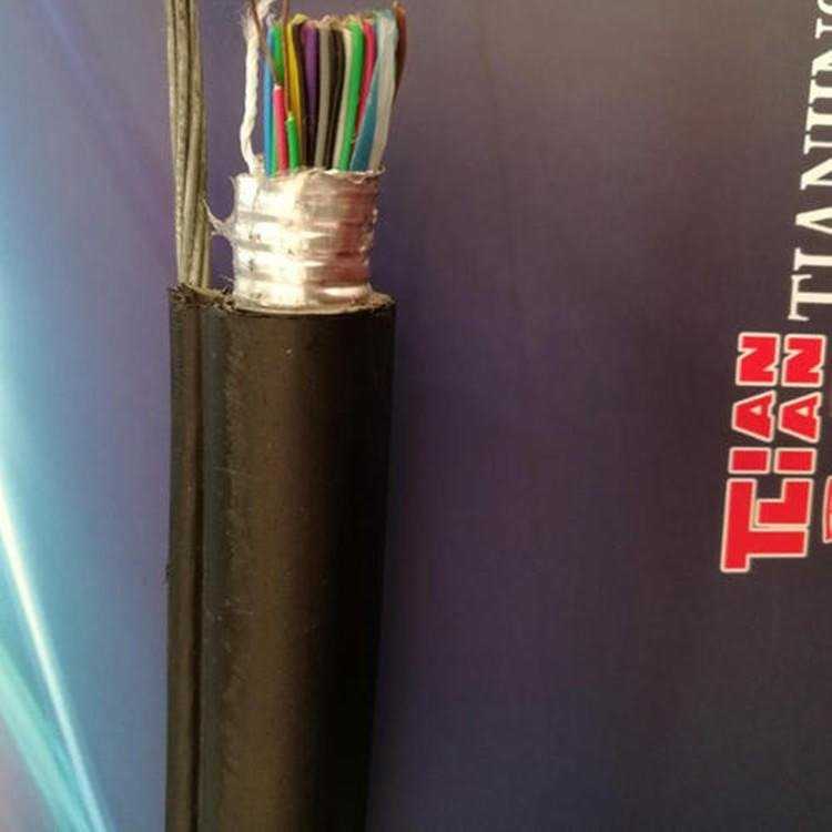 ZR- HYAC架空索道通讯电缆 自承式通信线 加粗钢丝绳30对0.5